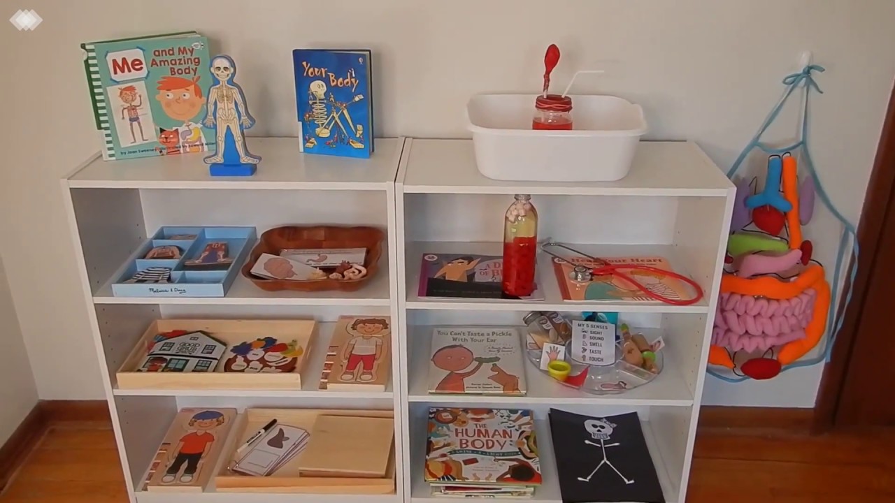 Human Body Activities | Homeschool Preschool