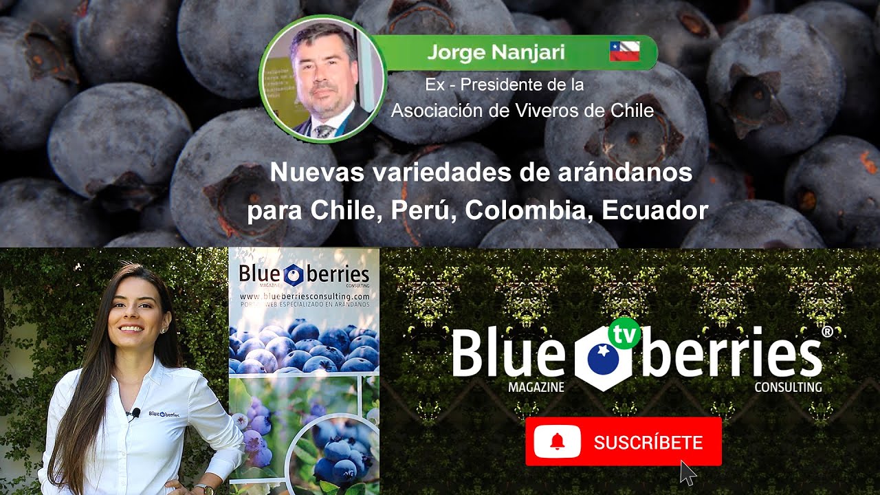 Nuevas variedades de arándanos para Chile, Perú, Colombia y Ecuador - Agricultural Seminars - 2020