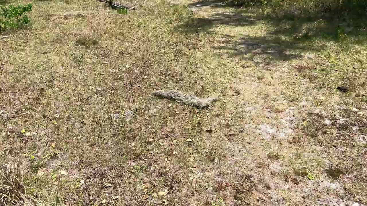 Inmotion V13 ranch patrol chinbar pov