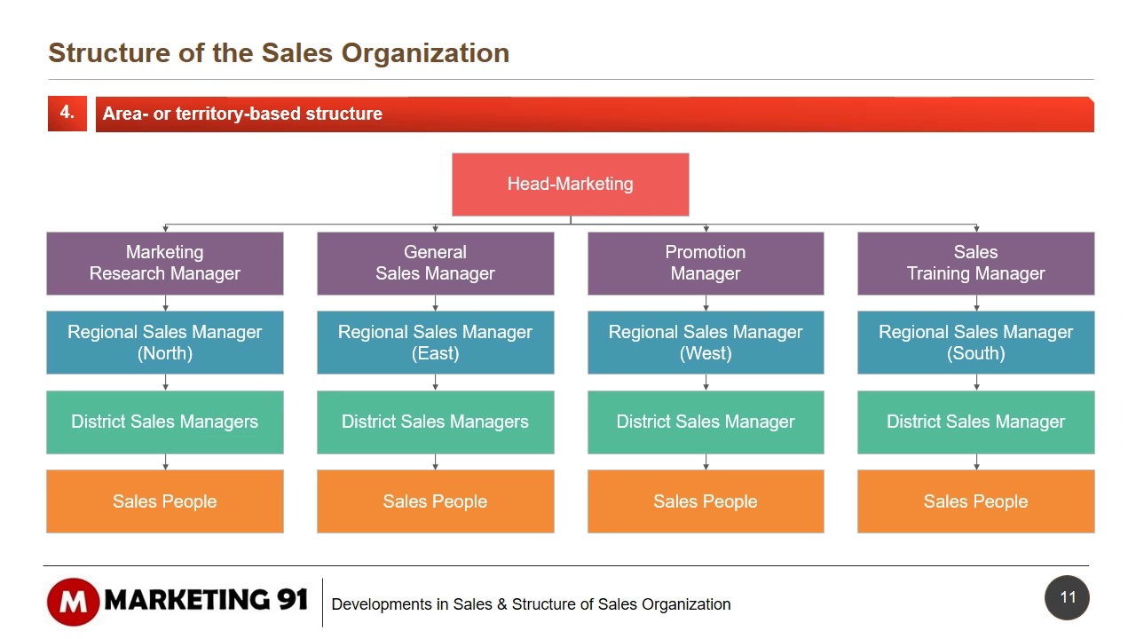 Structure of Sales organization - Sales organization structure