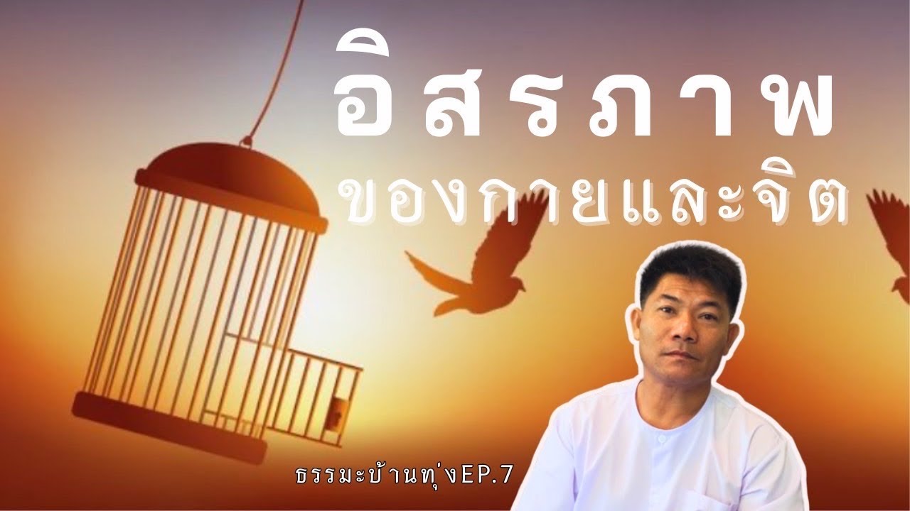 อิสรภาพของกายและจิต ธรรมะบ้านทุ่งep7 #ธรรมะ #สมาธิ #ธรรมชาติ #buddha #meditation #dhamma 