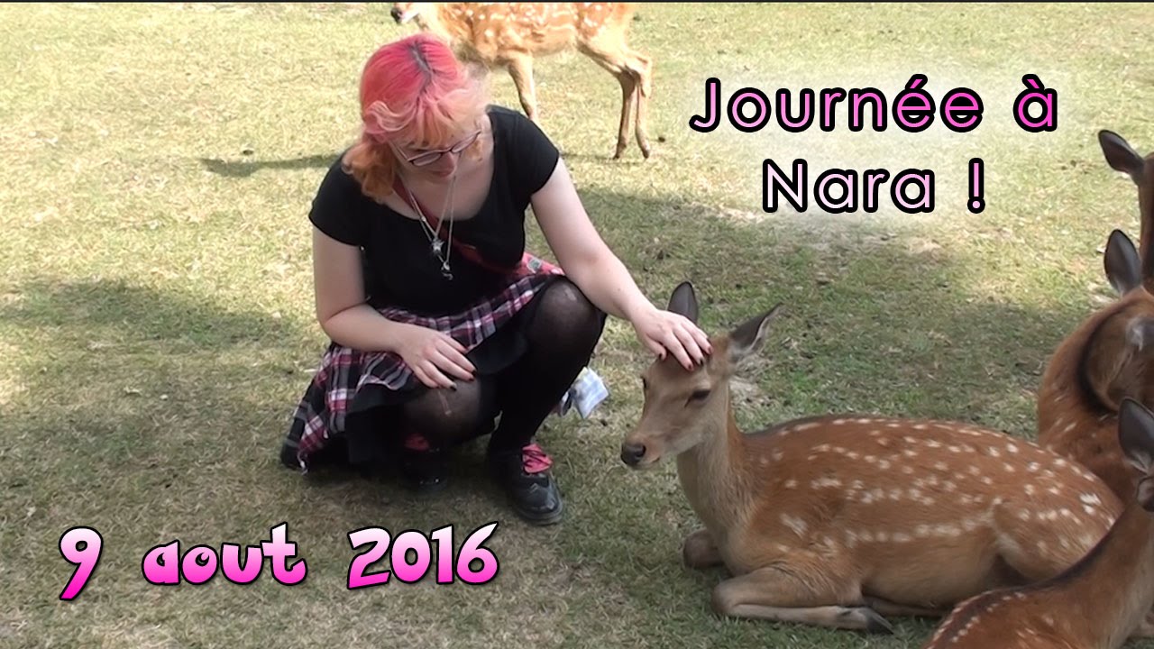 [Japon 19] Nara, la nature dans l'ancienne capitale !