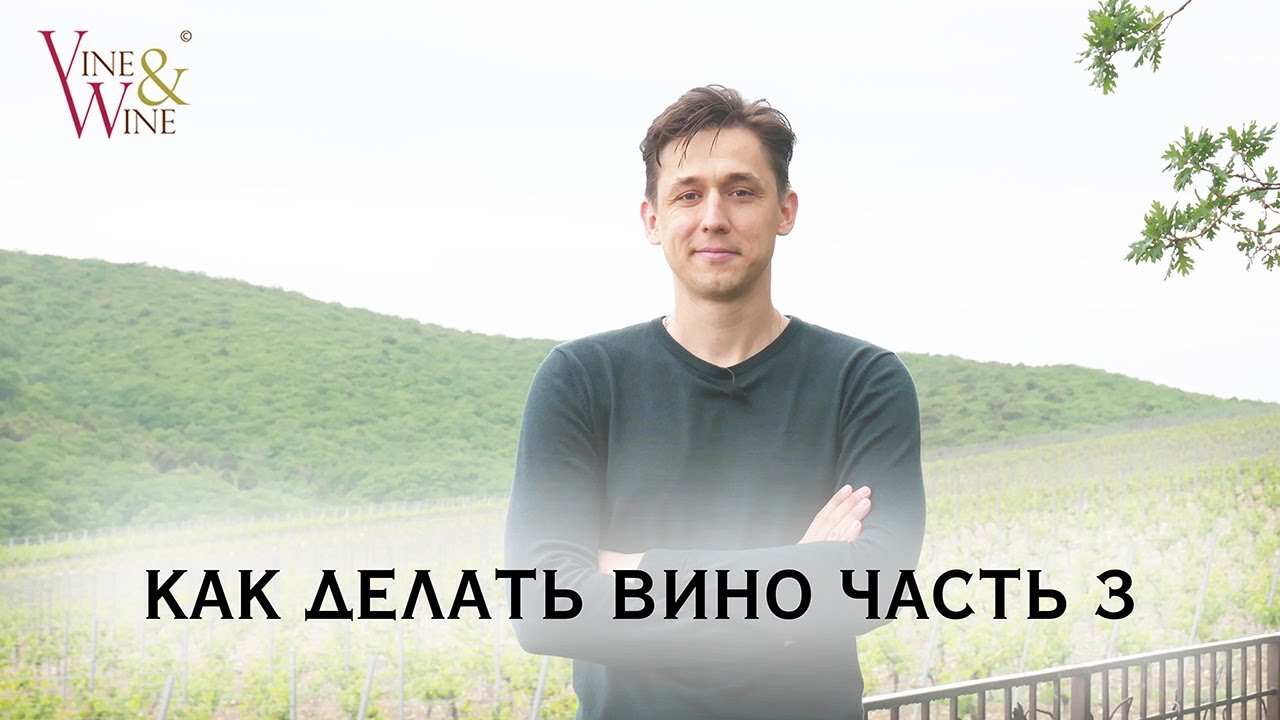 Как делать вино. Часть 3 (красное сухое вино)
