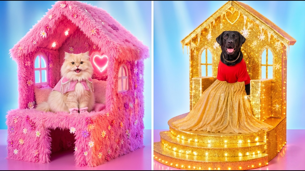 FLUFFY Cat vs GOTH Dog 🏠 Dream Room Makeover Battle