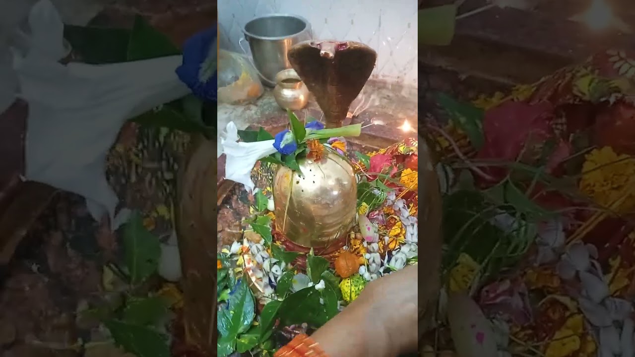 #Jay Bholenath 🙏🌹#bhole Sang Holi