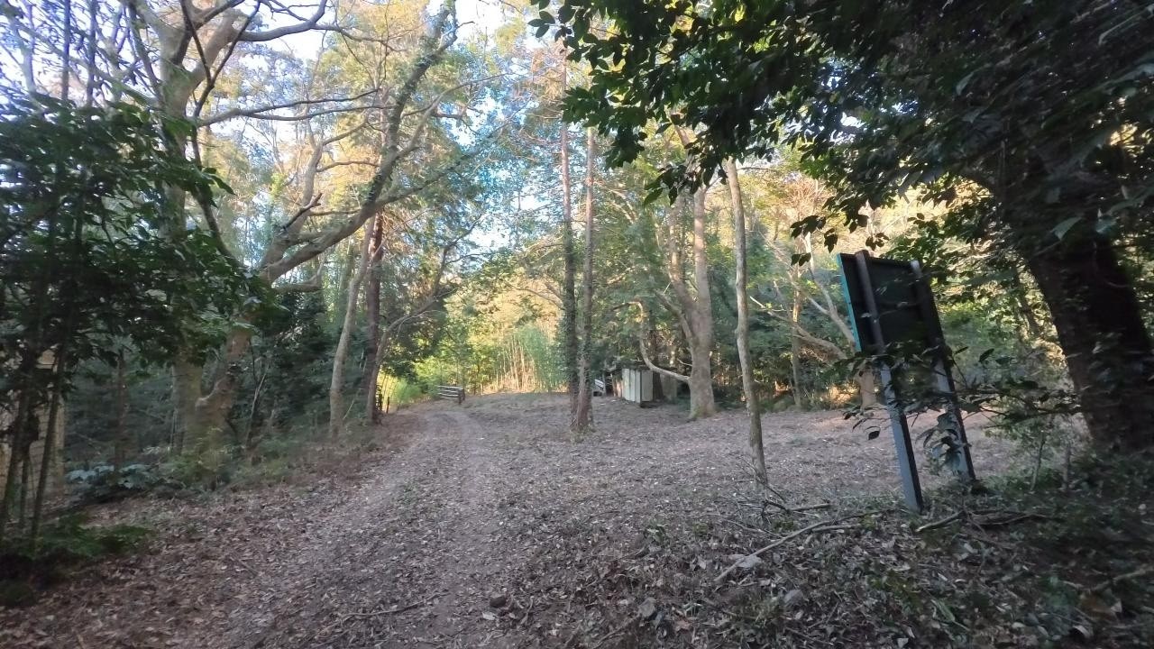 【朝日峠】朝活 Part 4（2026/02/05）