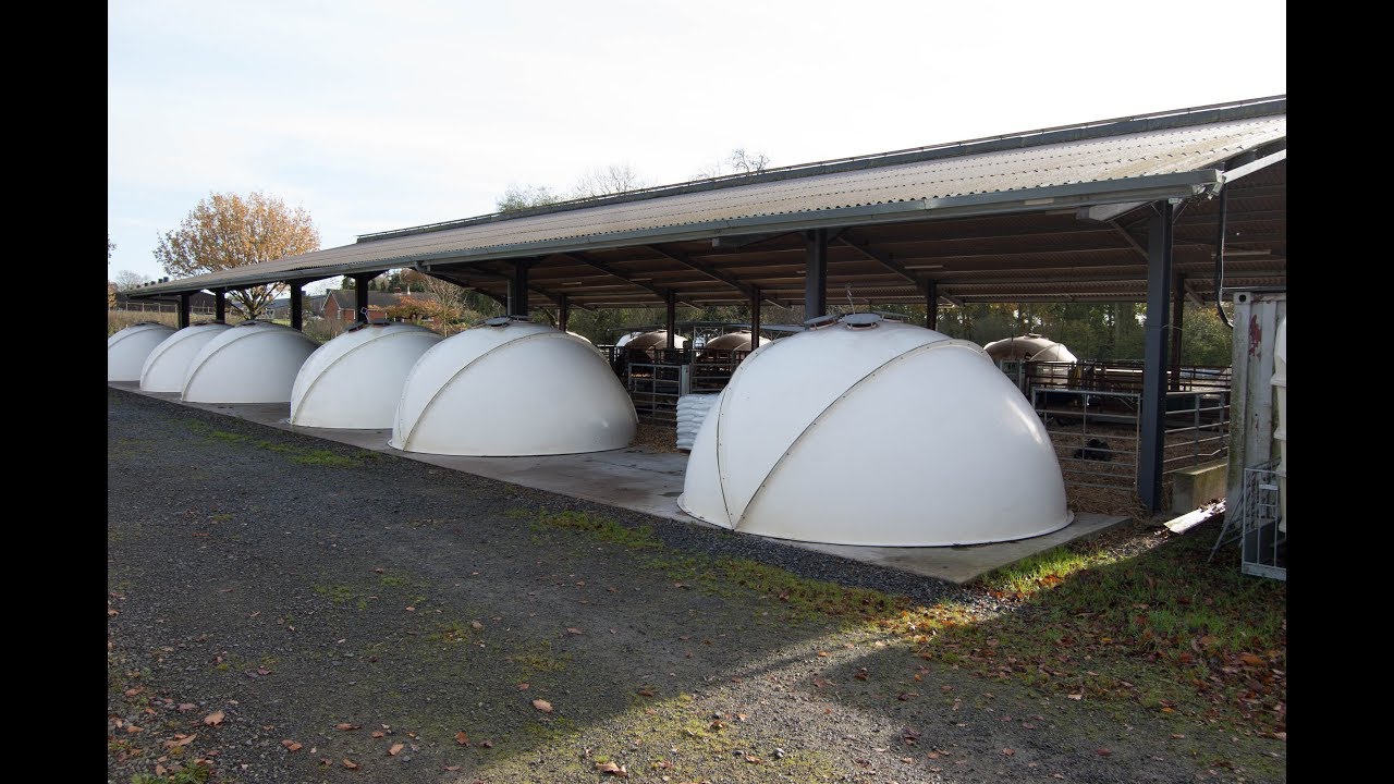 Calf Igloos -  Housing