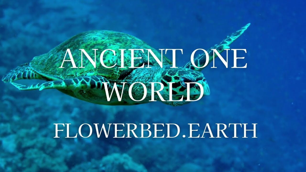 Ancient One world