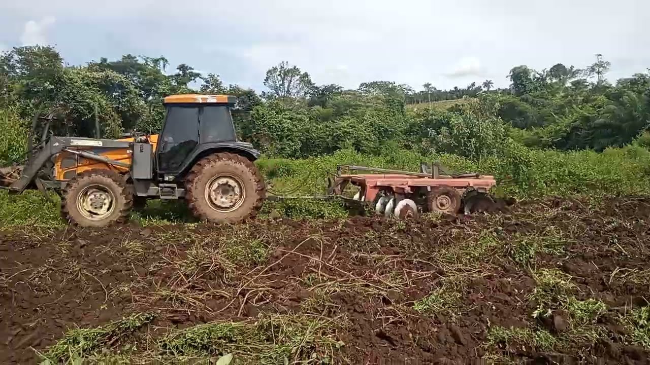 Trator Valtra BM125i fazendo 1° grade para plantar zuri ainda em Fevereiro