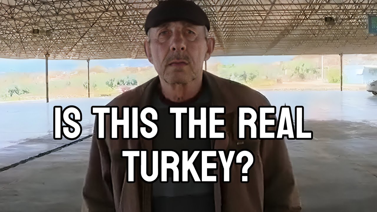 🇹🇷 looking for the REAL TURKIYE 🧐🤌