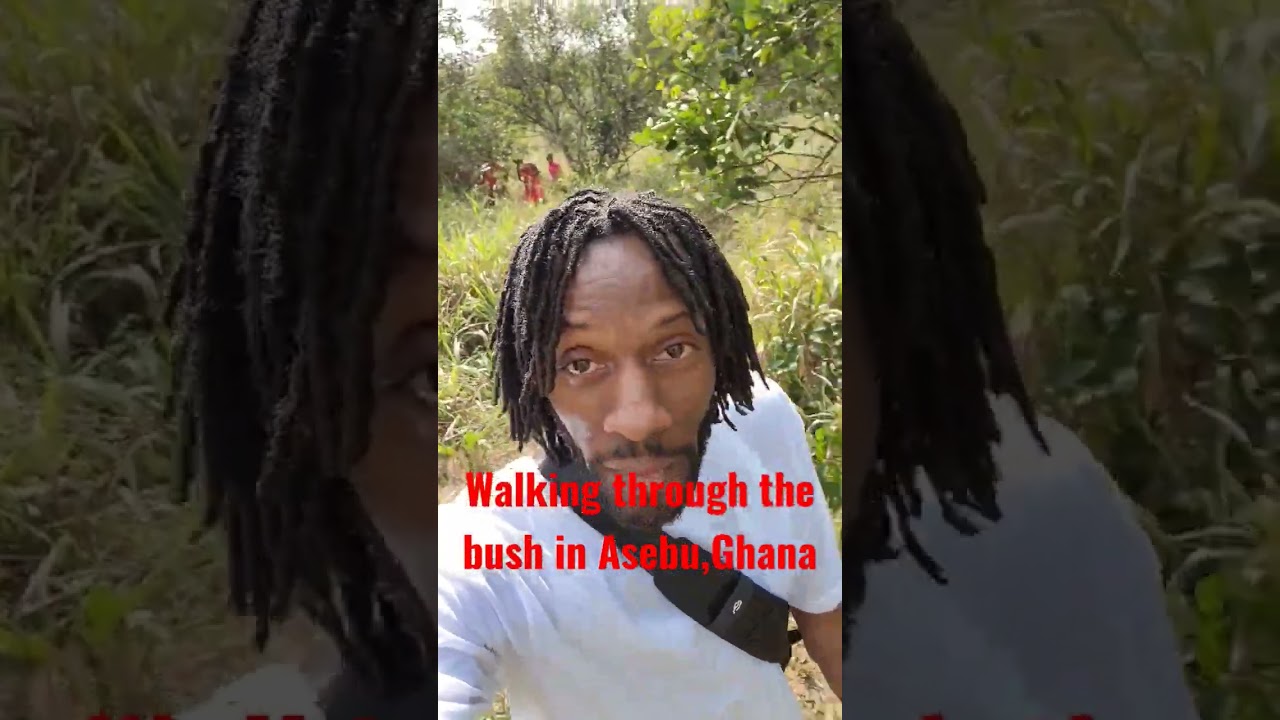 Getting to know Asebu