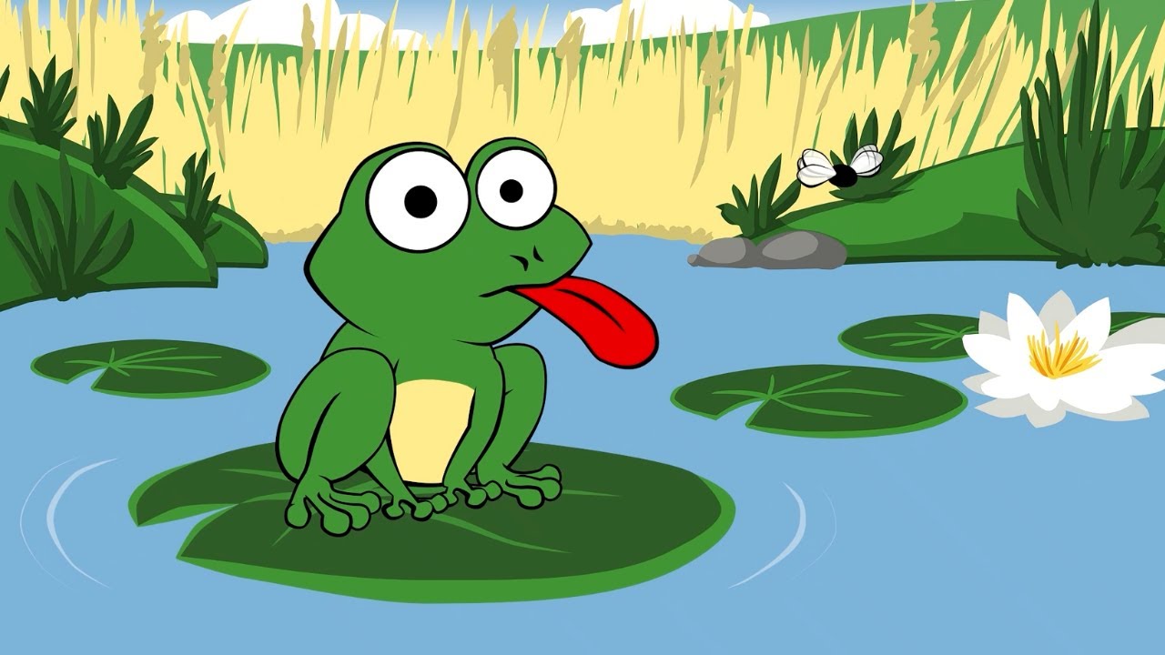 ♪ ♪ Mmh macht der gr&uuml;ne Frosch - zum Mitsingen und Tanzen | Rodscha und Tom - Kinderlieder