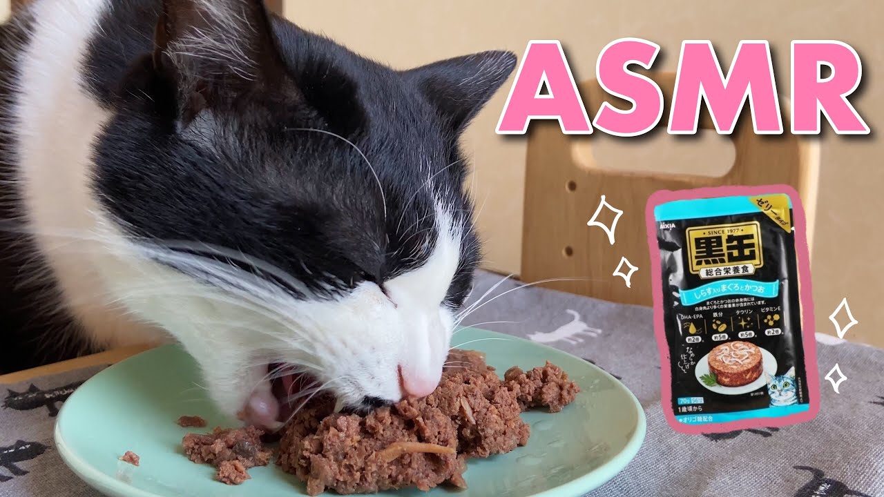 🍙ASMR｜ウェットフードをムチャムチャ食べる猫【咀嚼音】#188