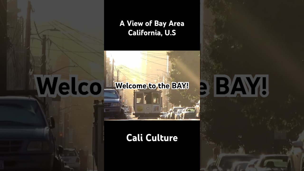 Bay Area Activities&hellip;#litlit #nagaris