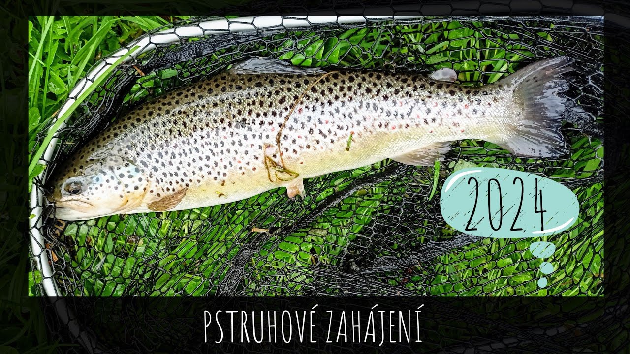 Zahájení pstruhové sezóny 2024, aneb 