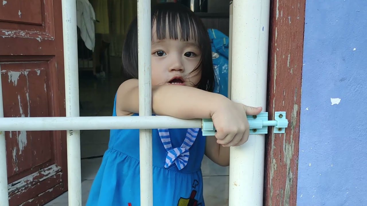 DIY Making PVC pipe gate door//membuat pintu gate dari PVC paip