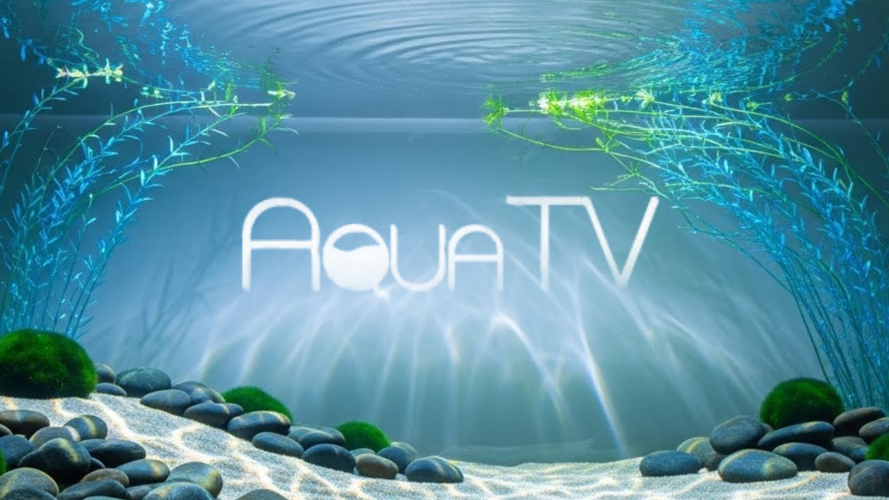 Aqua TV Relaxing Aquarium Builder | Design Your Underwater World | Peaceful GAMEPLAY # 55