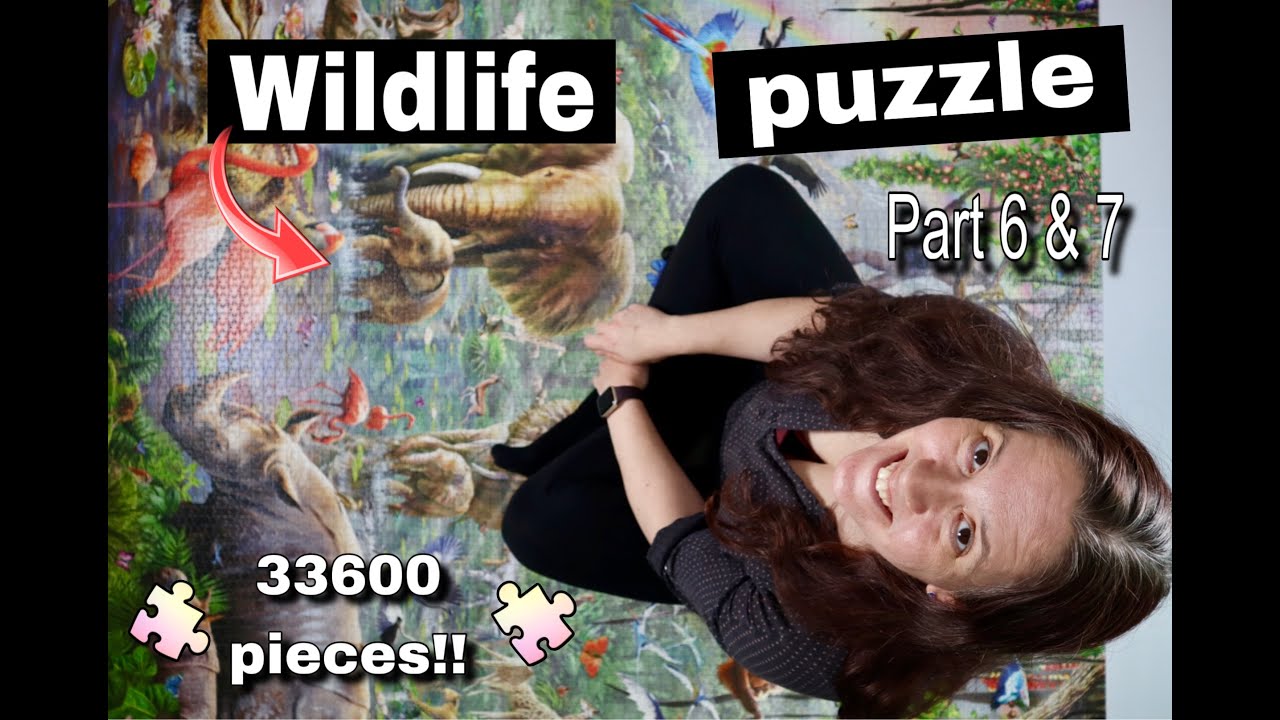 Doing my BIG DREAM puzzle (Wildlife 33600 pieces) with MIXED BAGS - Part 7