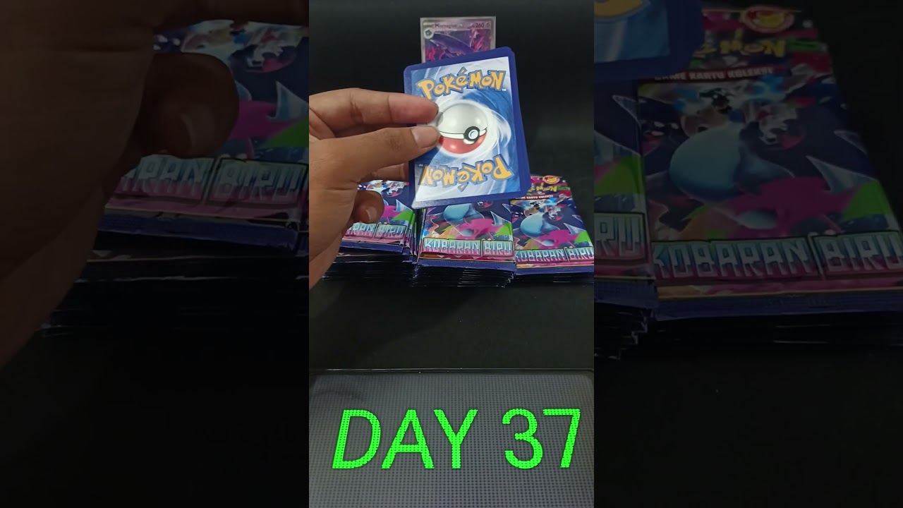 Day 37 Pack Opening Pokemon TCG Kobaran Biru Indonesia | 