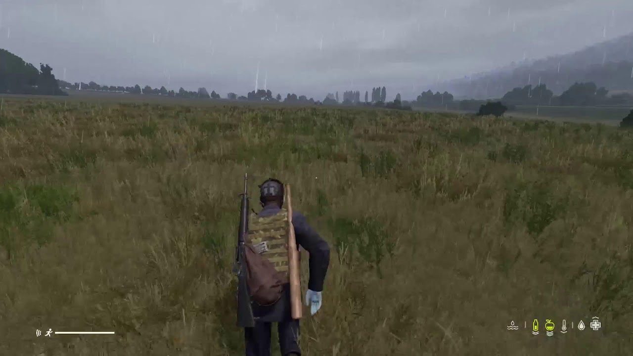 Dayz live