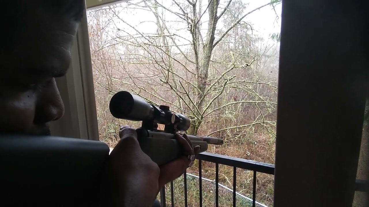 22 Cal Benjamin Prowler Air Rifle kills 