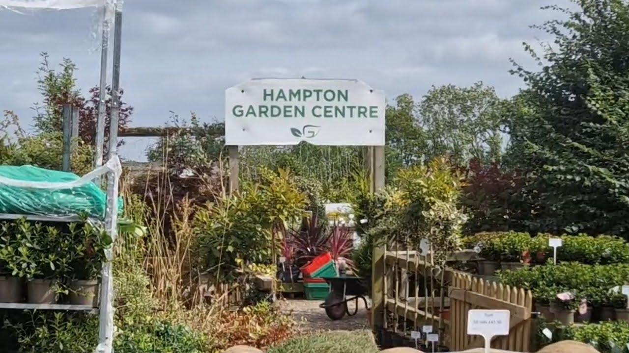 Bonsai hunting at Hampton Garden Centre
