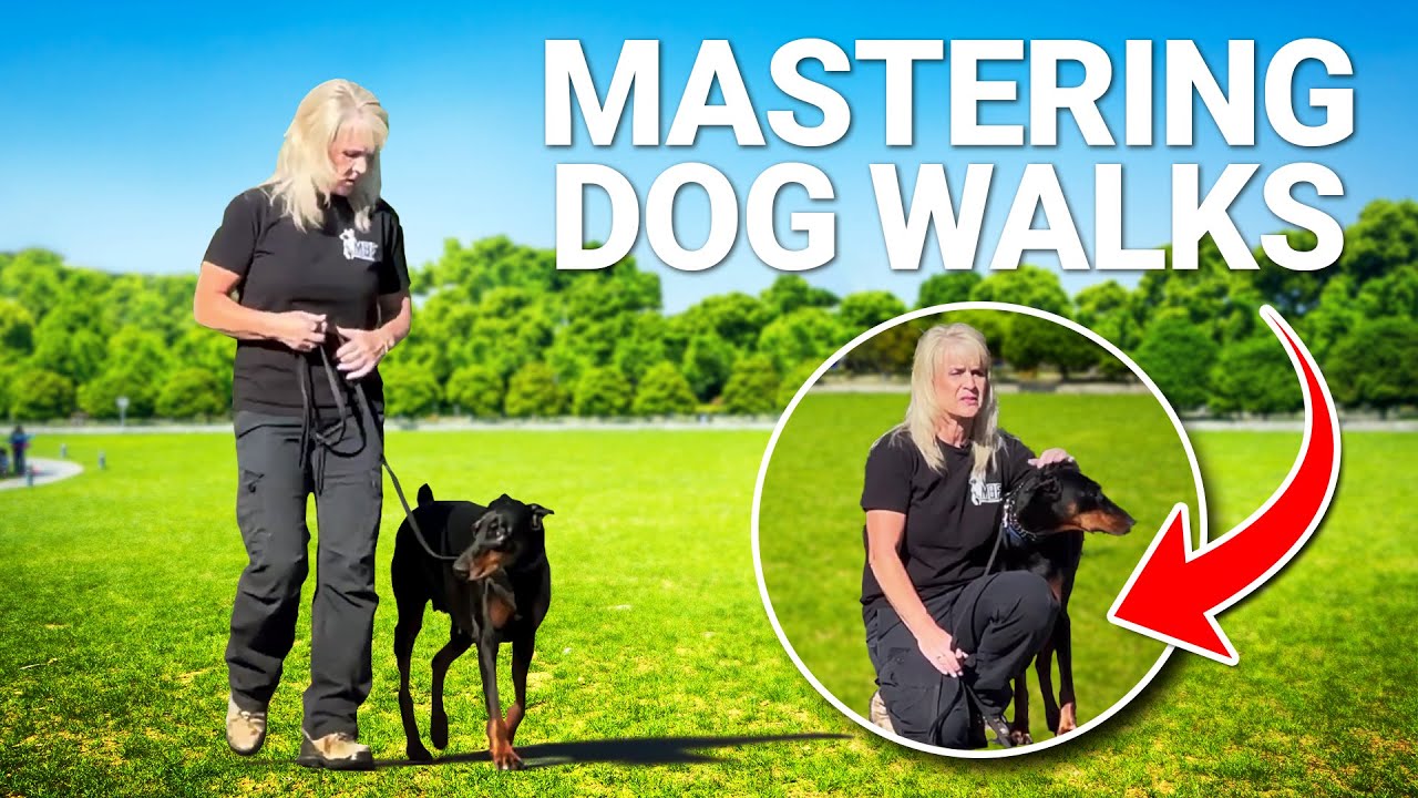 Never Get Pulled Around by Your Dog Again!