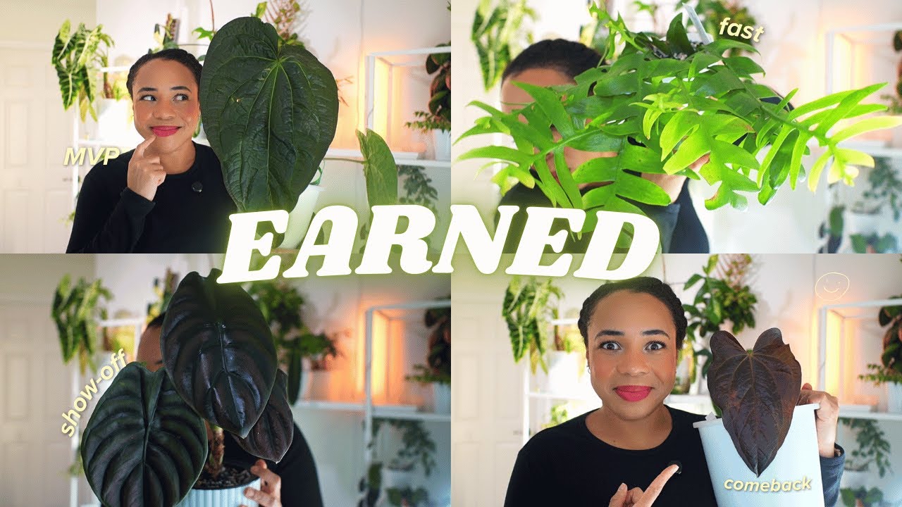 🪴These Plants Earned Their Spot This Month 😍| January Favourites