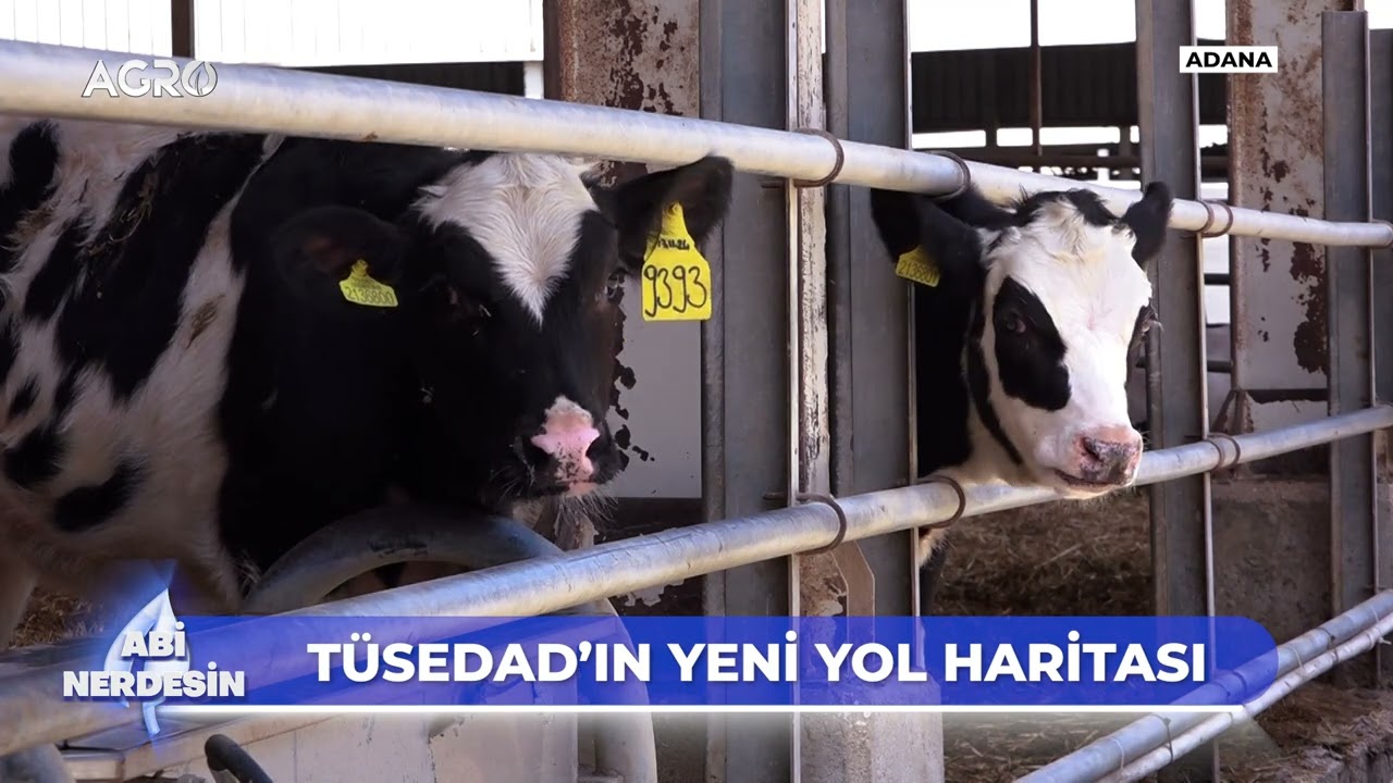 TÜSEDAD Başkanı Müslüm Doğru, TÜSEDAD'ın Yeni Yol Haritasını Anlattı! / Abi Nerdesin?