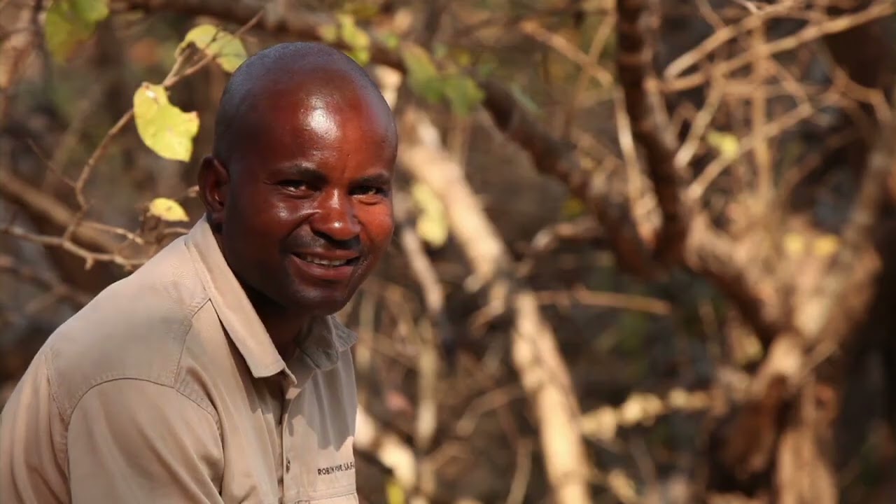 Robin Pope Safaris   The Mobile Walking Safaris   Safari Zambia   South Luangwa