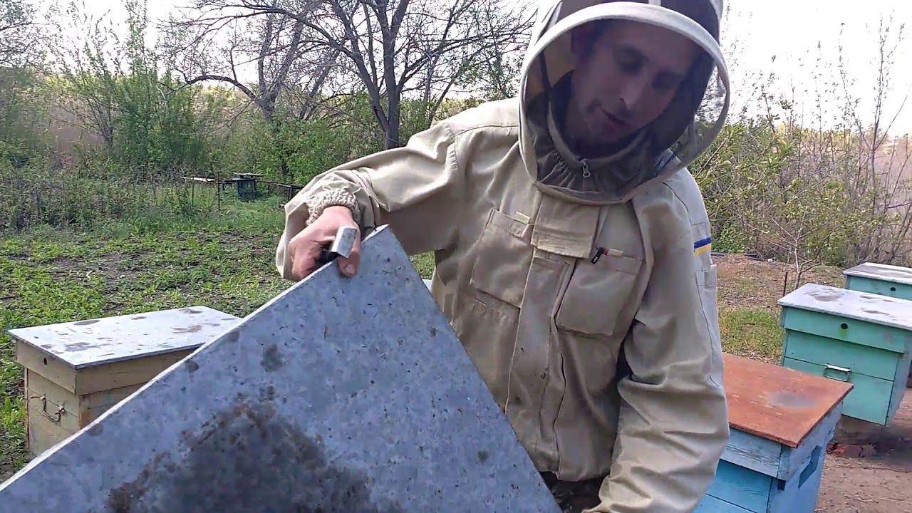 Вывод маток...04.05.19