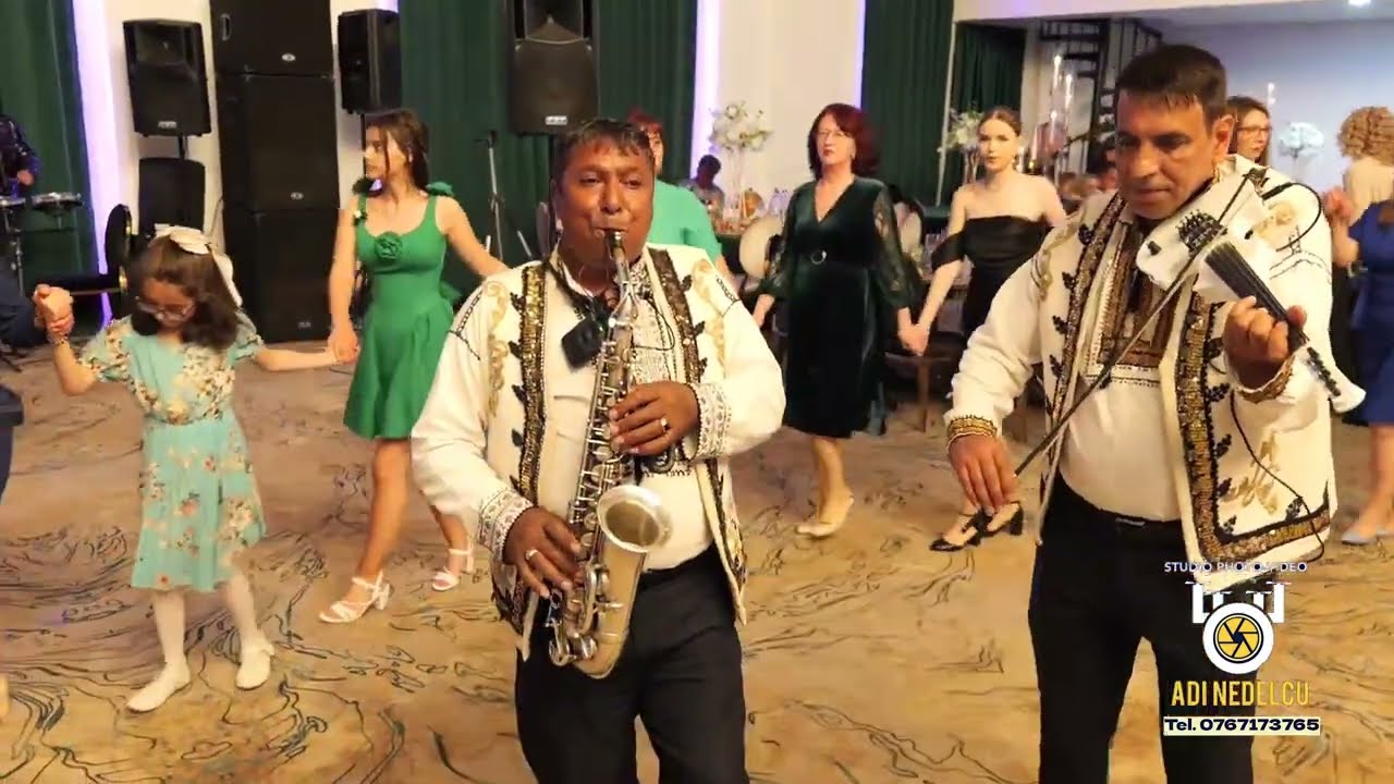 Colaj TOP sârbe - Iulică Pistol și Ionel de la Cetate -Formația Profesional - Nuntă Lavinia & Robert