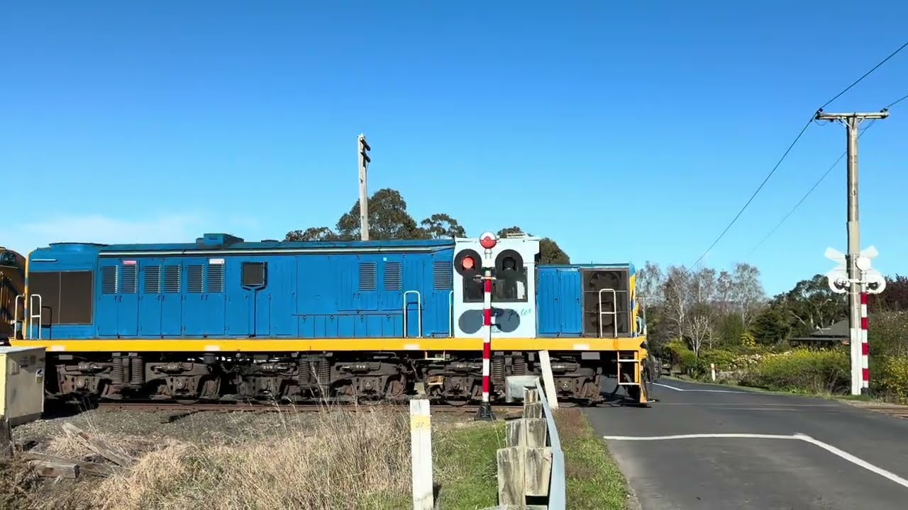 Dunedin Railways In Action In October 2025
