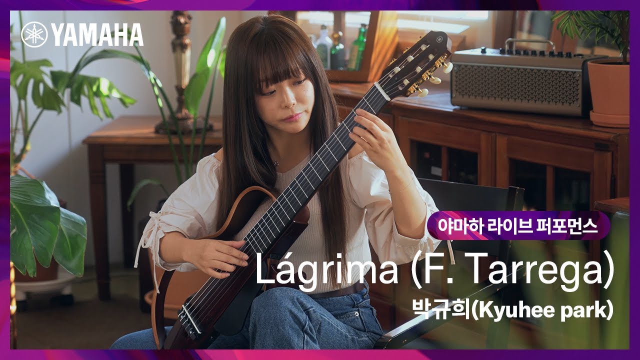 벽이 느껴져..완벽...🤎 클래식 기타리스트 박규희 퍼포먼스ㅣLágrima (F. Tarrega)