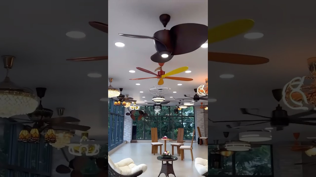 India&rsquo;s Largest Luxury Designer Fan Showroom