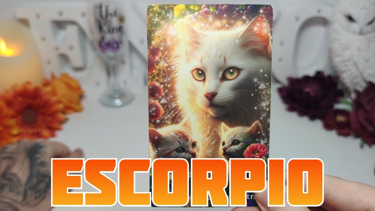 ESCORPIO ♏️ HABLÓ DE TI AYER CON UNA MUJER Y ESTO DIJO 😳💬 HOROSCOPO #ESCORPIO HOY TAROT AMOR