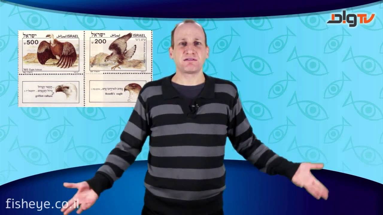 פישטיוב: הנשרים באים