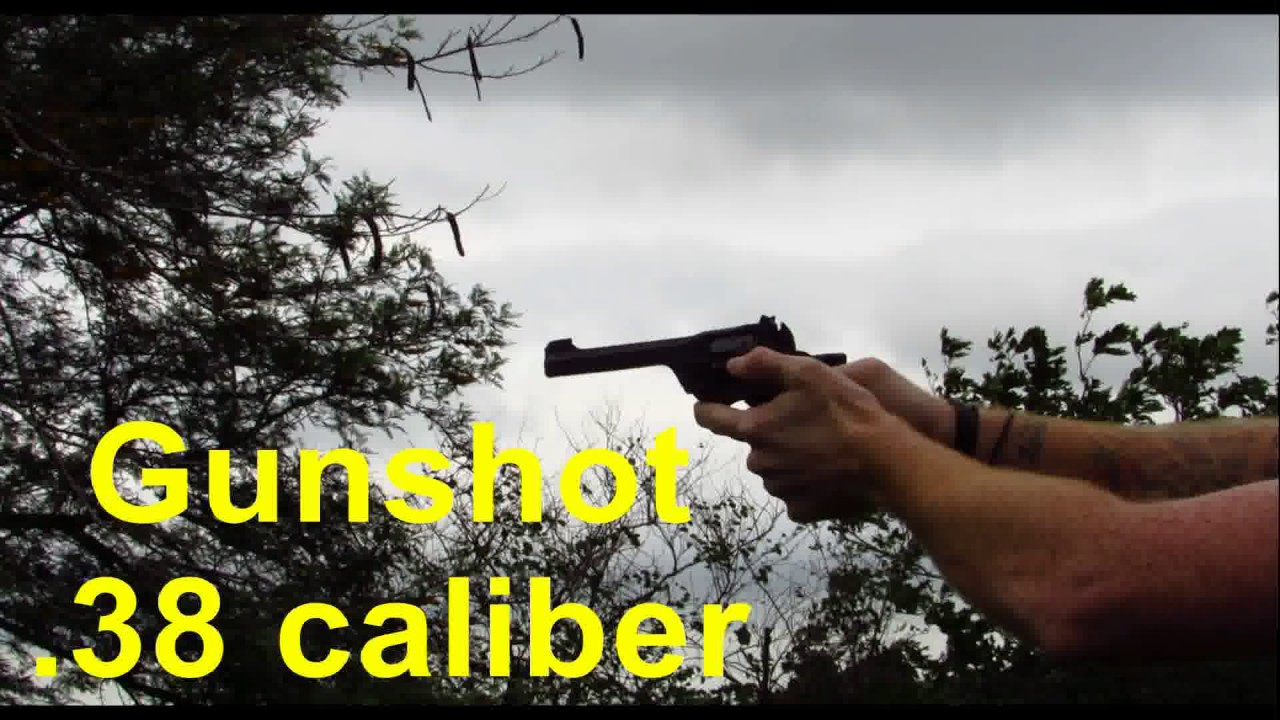 What's louder - a gunshot or fireworks?