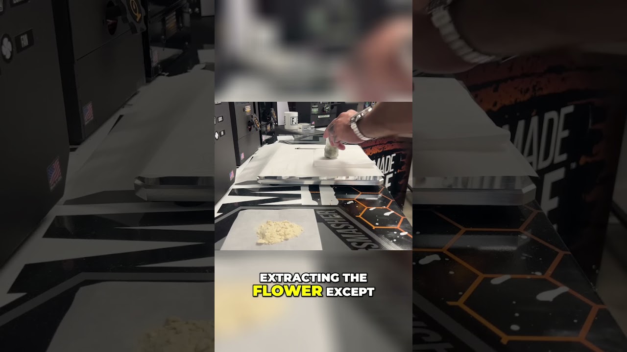 Unlock the Secrets of Rosin Extraction  How to Get the Perfect Yield!