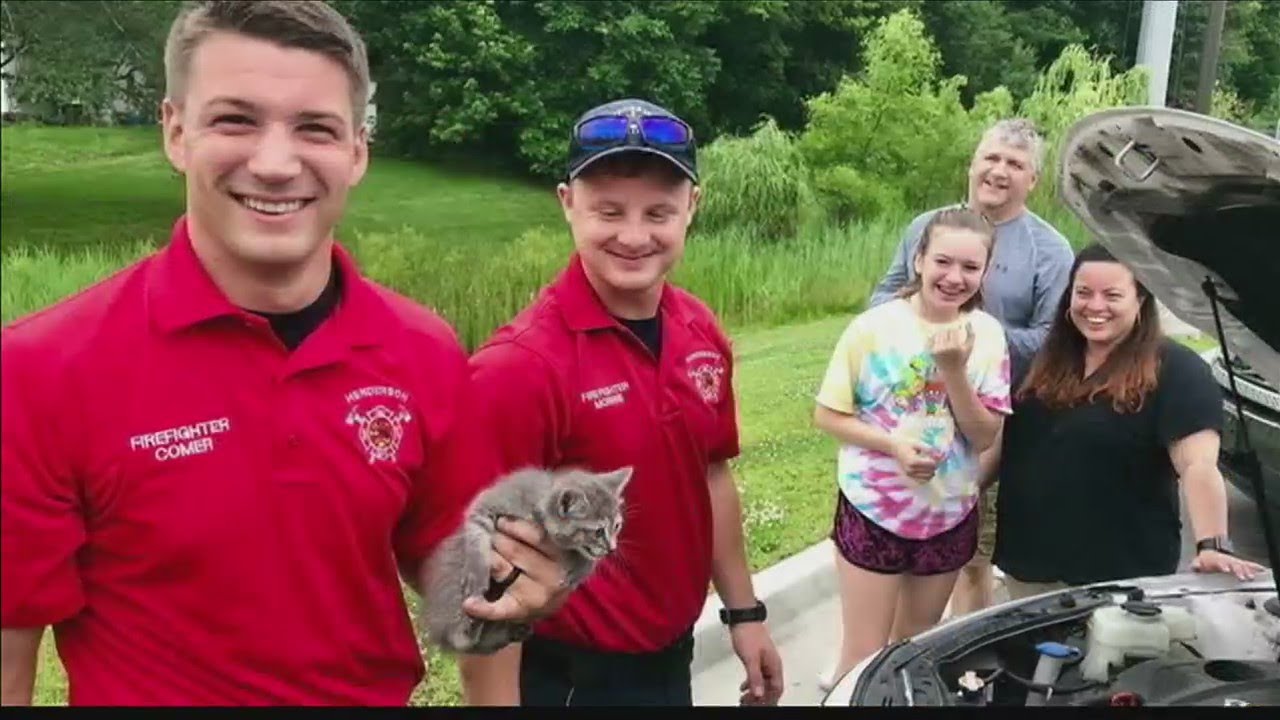 Henderson Firefighter rescue kitten from car