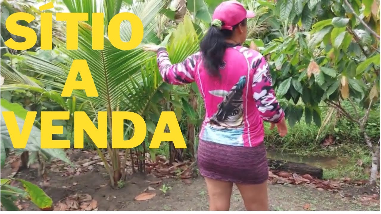 SÍTIO A VENDA,SUL DA BAHIA,15 MINUTOS DA CIDADE DE UBATÂ