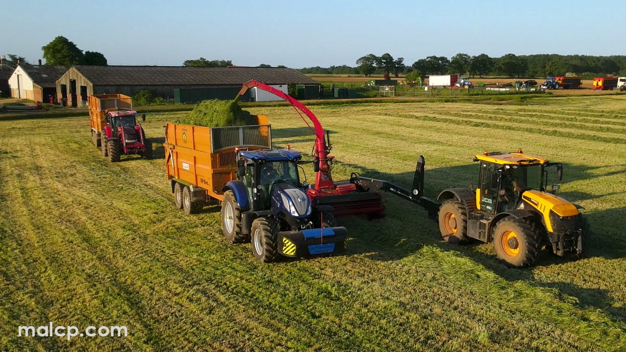 4k Harvest 2023 - Evening shift with a JCB 4220 chopping with Kongskilde FCT 1260