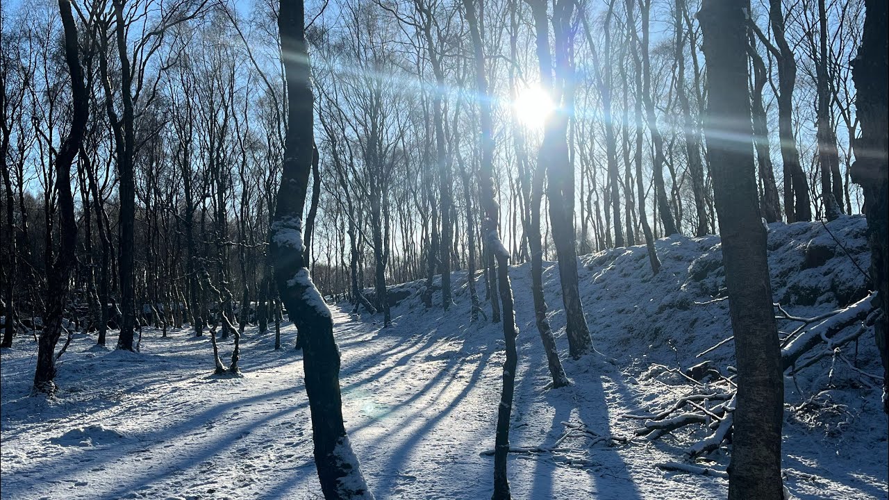 winter sun 