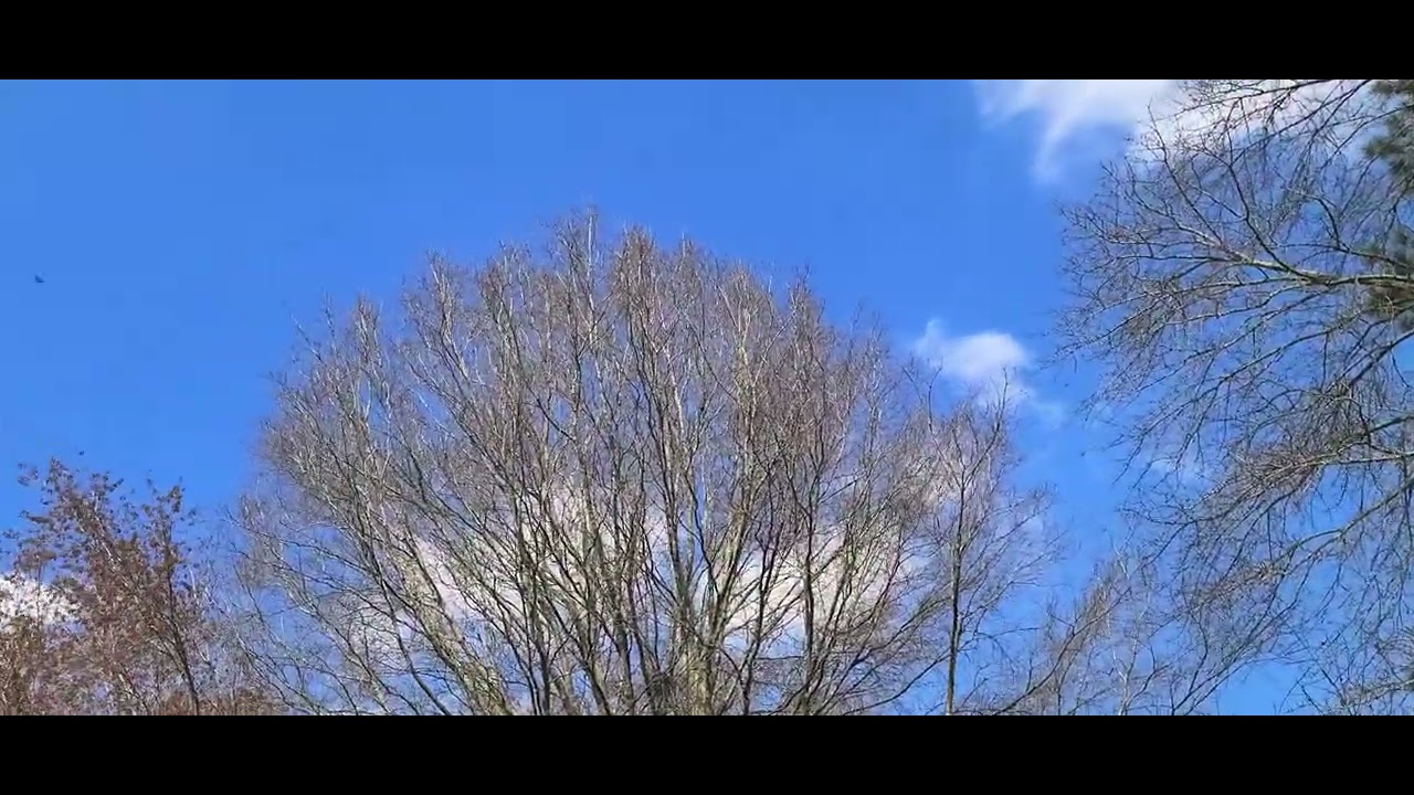 Bell 407 helicopter flyover