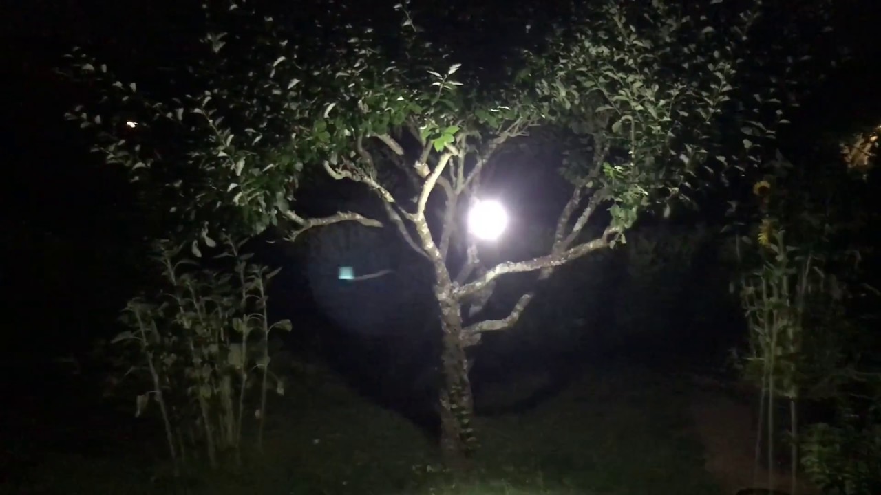 Review and Beamshots of the Lipstick-Shaped Nitecore LR12 Camping Lantern Flashlight