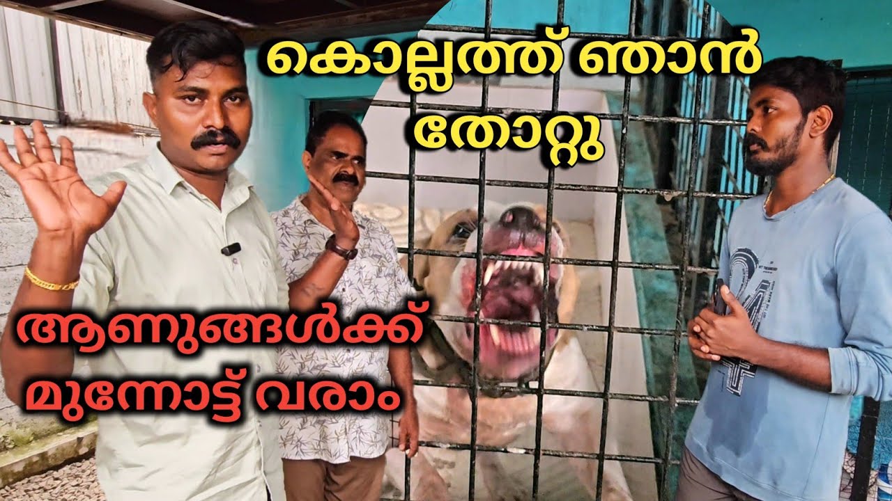 ഞാൻ നിർത്തി.. ഇവൻ കടിച്ചു കീറും.. Dog challenge.. Leash talks 