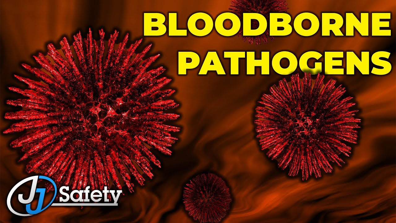 Bloodborne Pathogens: Protecting Your Health  [Toolbox Talk]