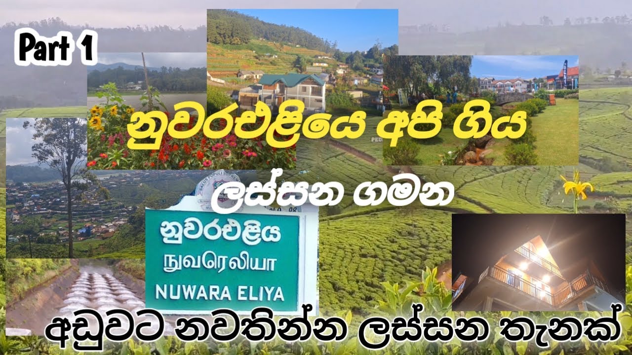 Family trip to nuwara eliya 🇱🇰 part 1 | නුවරඑළියෙ අපි ගිය ලස්සන තැන්