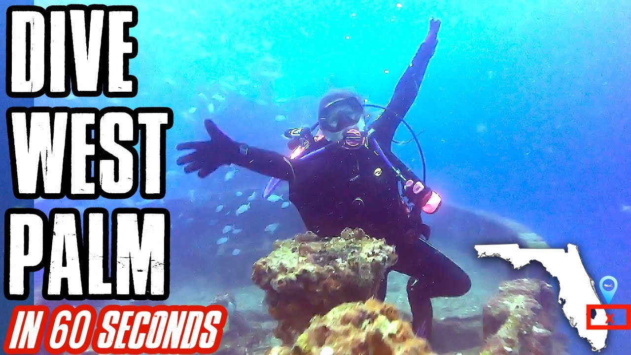 West Palm Beach, FL area scuba dive briefing | 1 minute orientation for divers | Down to 60