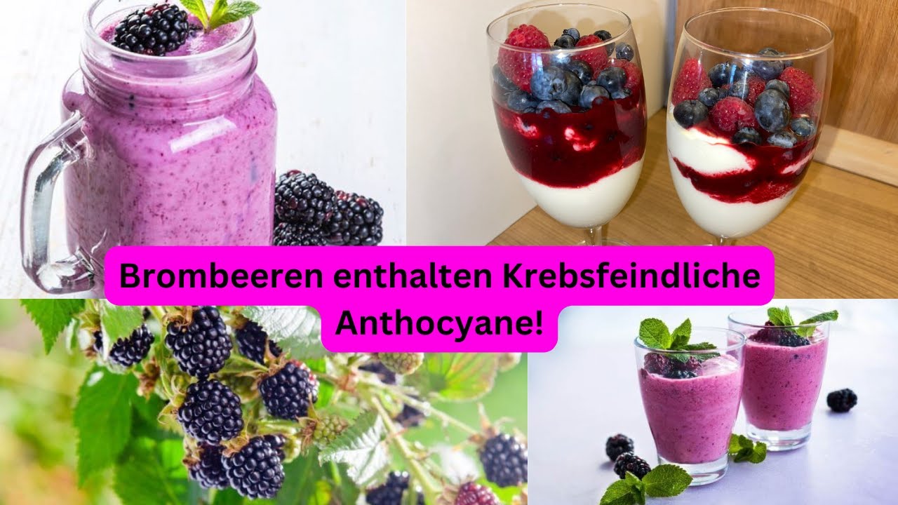 Die unglaublichen Gründe, warum Brombeeren so gesund sind! 3 Rezepte dazu!
